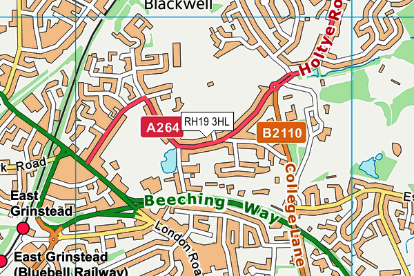 RH19 3HL map - OS VectorMap District (Ordnance Survey)