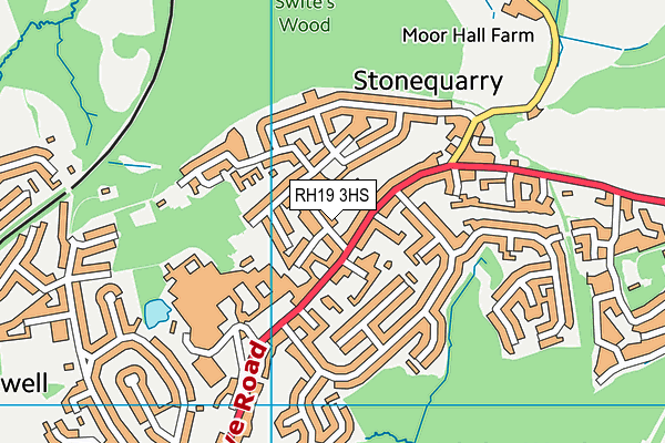 RH19 3HS map - OS VectorMap District (Ordnance Survey)