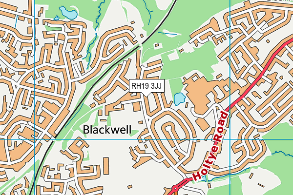 RH19 3JJ map - OS VectorMap District (Ordnance Survey)
