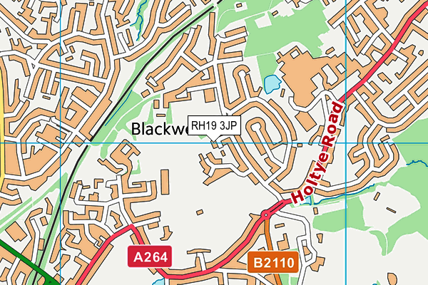 RH19 3JP map - OS VectorMap District (Ordnance Survey)