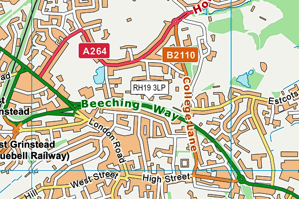 RH19 3LP map - OS VectorMap District (Ordnance Survey)