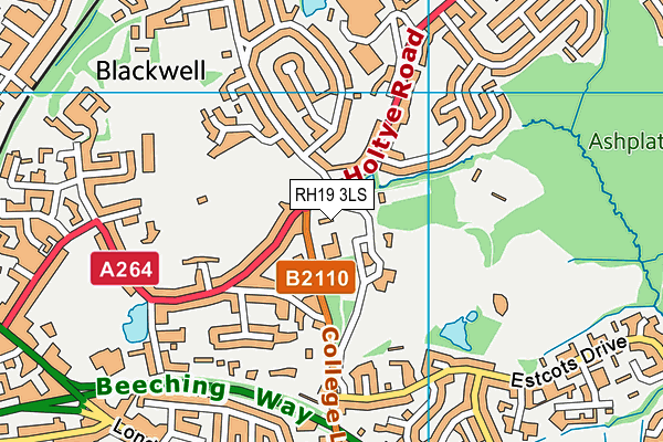 The Gac Stadium (East Grinstead Town Fc) map (RH19 3LS) - OS VectorMap District (Ordnance Survey)