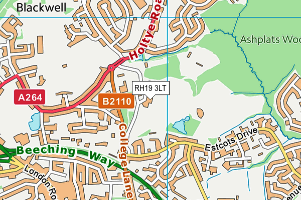 RH19 3LT map - OS VectorMap District (Ordnance Survey)