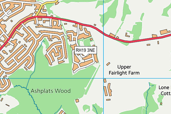 RH19 3NE map - OS VectorMap District (Ordnance Survey)