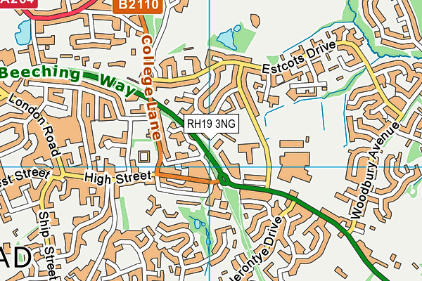 RH19 3NG map - OS VectorMap District (Ordnance Survey)