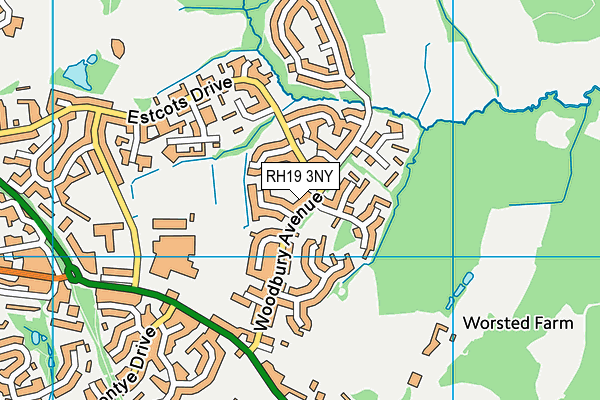 RH19 3NY map - OS VectorMap District (Ordnance Survey)