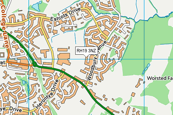 RH19 3NZ map - OS VectorMap District (Ordnance Survey)