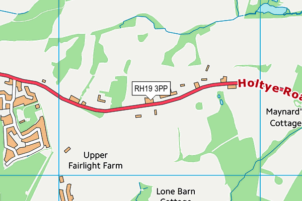 RH19 3PP map - OS VectorMap District (Ordnance Survey)