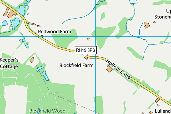 RH19 3PS map - OS VectorMap District (Ordnance Survey)