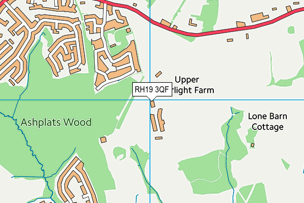 RH19 3QF map - OS VectorMap District (Ordnance Survey)