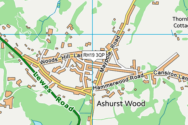 RH19 3QP map - OS VectorMap District (Ordnance Survey)