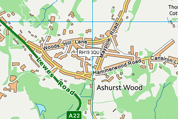 RH19 3QU map - OS VectorMap District (Ordnance Survey)