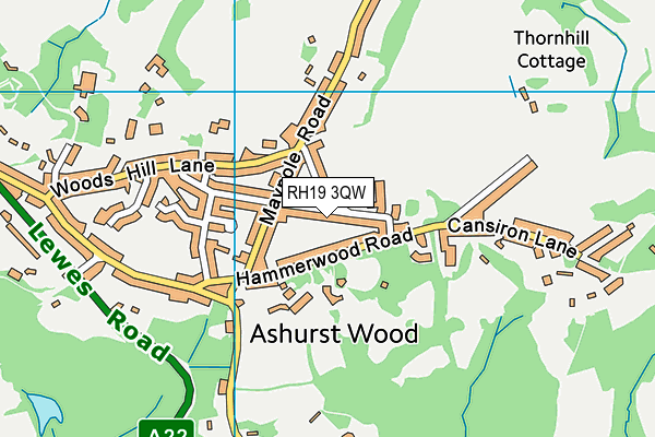 Ashurst Wood Primary School map (RH19 3QW) - OS VectorMap District (Ordnance Survey)