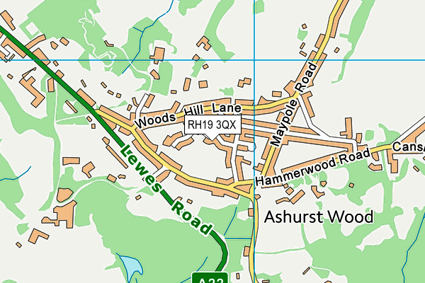 RH19 3QX map - OS VectorMap District (Ordnance Survey)