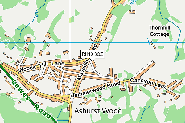 RH19 3QZ map - OS VectorMap District (Ordnance Survey)