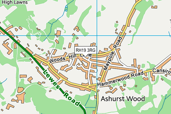 RH19 3RG map - OS VectorMap District (Ordnance Survey)