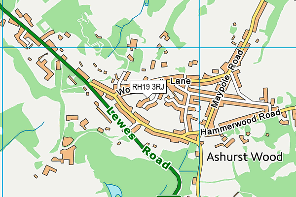 RH19 3RJ map - OS VectorMap District (Ordnance Survey)