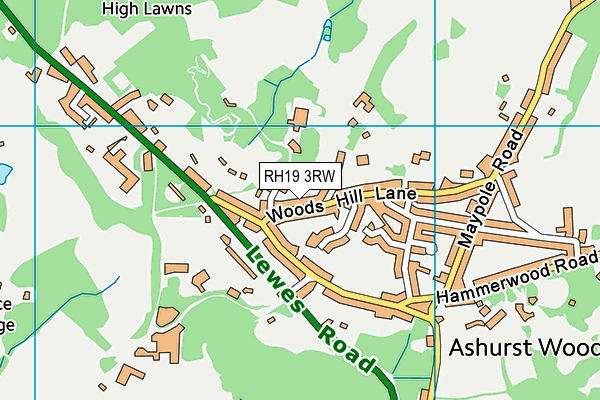 RH19 3RW map - OS VectorMap District (Ordnance Survey)