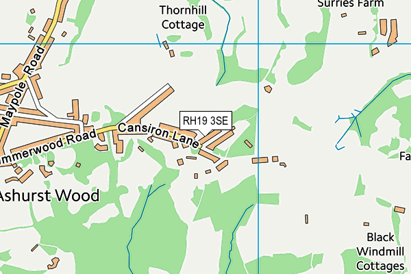 RH19 3SE map - OS VectorMap District (Ordnance Survey)