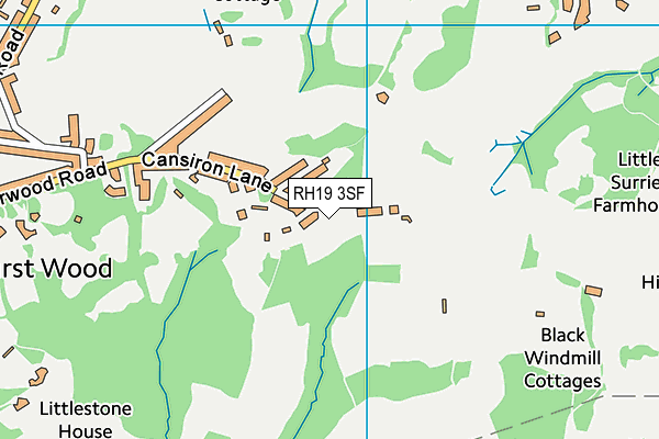 RH19 3SF map - OS VectorMap District (Ordnance Survey)
