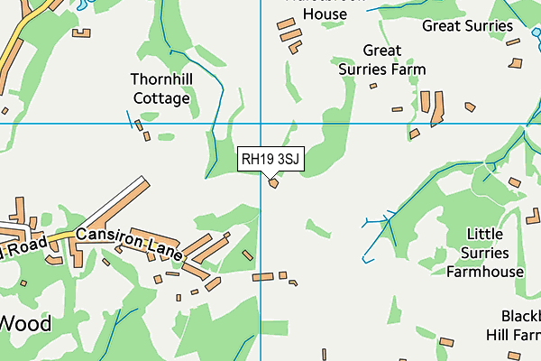 RH19 3SJ map - OS VectorMap District (Ordnance Survey)
