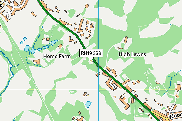 RH19 3SS map - OS VectorMap District (Ordnance Survey)