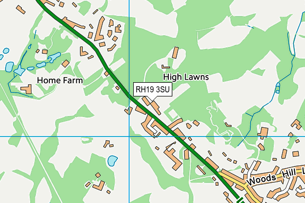 RH19 3SU map - OS VectorMap District (Ordnance Survey)
