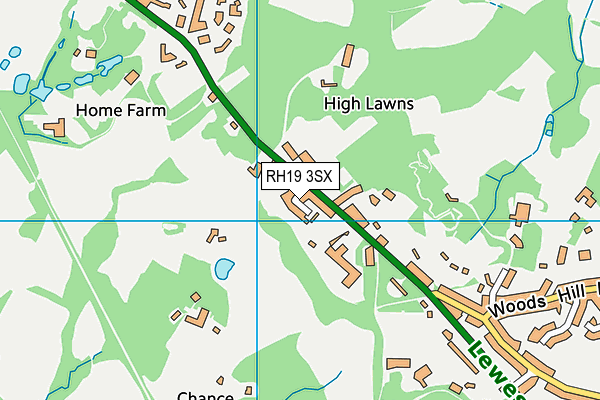 RH19 3SX map - OS VectorMap District (Ordnance Survey)