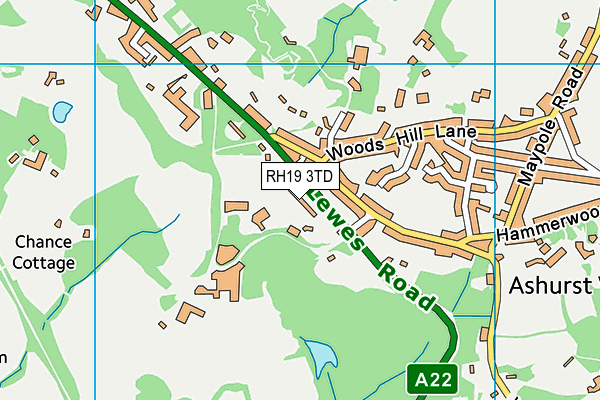 RH19 3TD map - OS VectorMap District (Ordnance Survey)