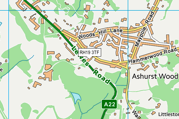 RH19 3TF map - OS VectorMap District (Ordnance Survey)