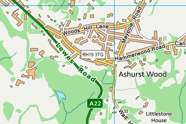 Ashurst Wood Recreation Ground map (RH19 3TG) - OS VectorMap District (Ordnance Survey)