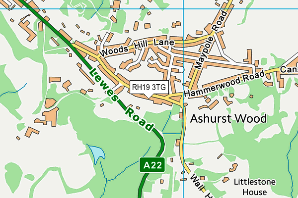 RH19 3TG map - OS VectorMap District (Ordnance Survey)