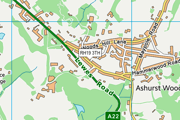 RH19 3TH map - OS VectorMap District (Ordnance Survey)