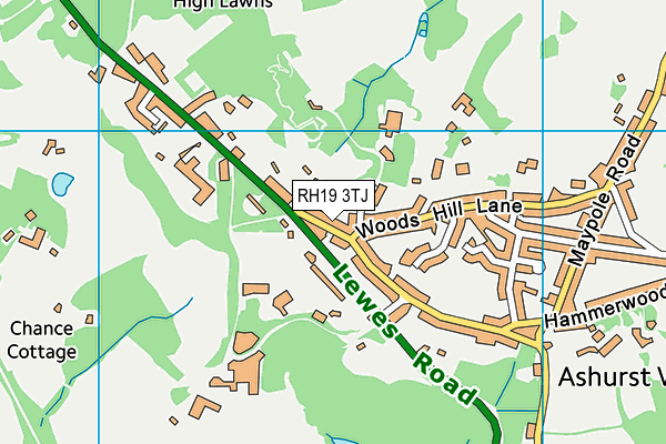 RH19 3TJ map - OS VectorMap District (Ordnance Survey)