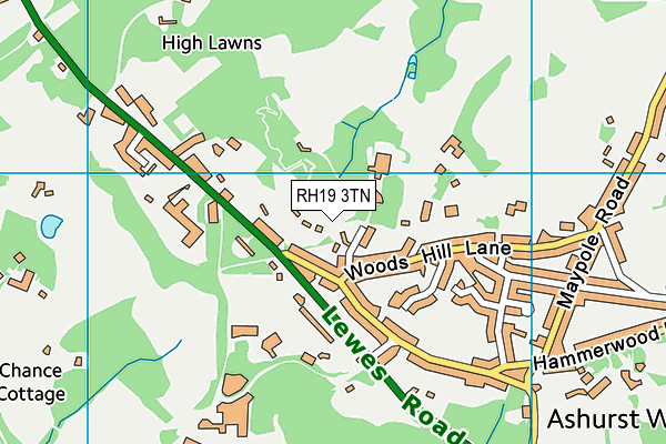 RH19 3TN map - OS VectorMap District (Ordnance Survey)