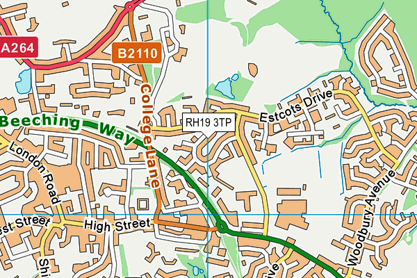 RH19 3TP map - OS VectorMap District (Ordnance Survey)