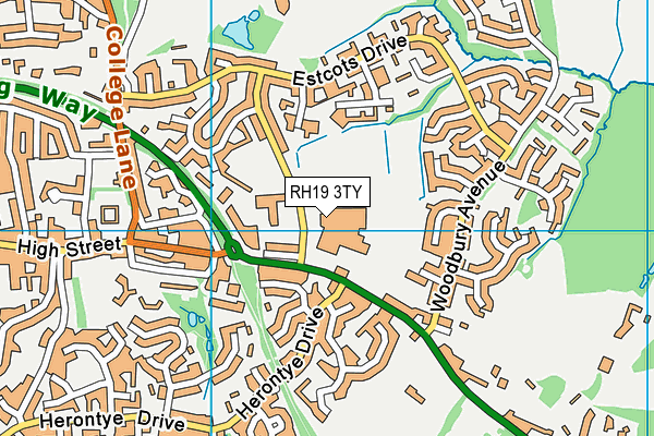 Sackville School map (RH19 3TY) - OS VectorMap District (Ordnance Survey)