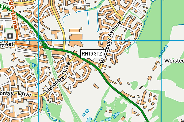 RH19 3TZ map - OS VectorMap District (Ordnance Survey)