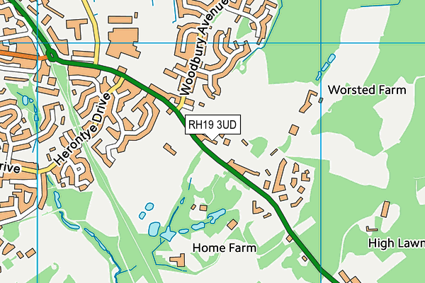 RH19 3UD map - OS VectorMap District (Ordnance Survey)