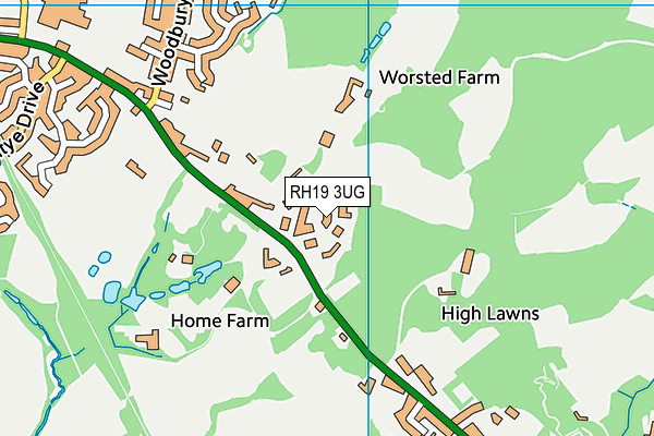 RH19 3UG map - OS VectorMap District (Ordnance Survey)