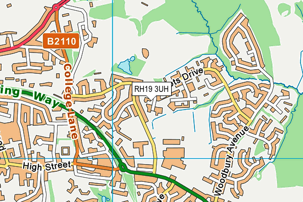 RH19 3UH map - OS VectorMap District (Ordnance Survey)