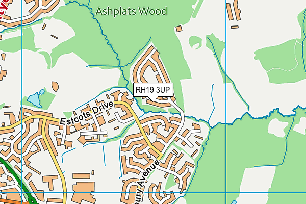 RH19 3UP map - OS VectorMap District (Ordnance Survey)