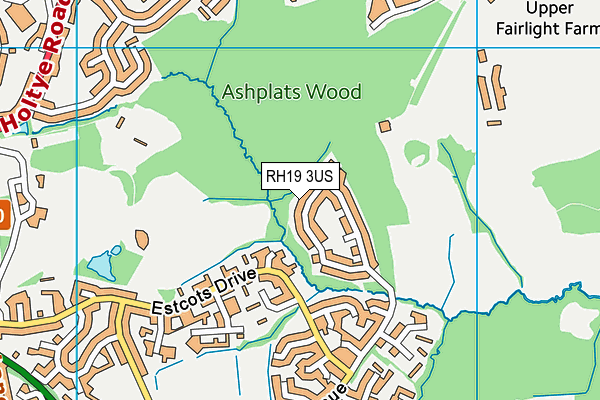 RH19 3US map - OS VectorMap District (Ordnance Survey)