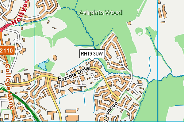 RH19 3UW map - OS VectorMap District (Ordnance Survey)