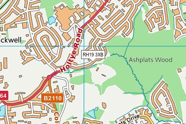 RH19 3XB map - OS VectorMap District (Ordnance Survey)