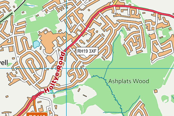 RH19 3XF map - OS VectorMap District (Ordnance Survey)