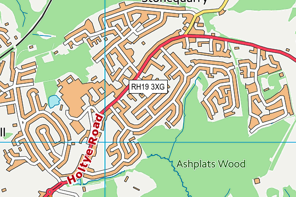 RH19 3XG map - OS VectorMap District (Ordnance Survey)