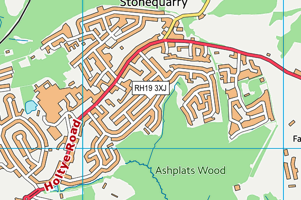 RH19 3XJ map - OS VectorMap District (Ordnance Survey)