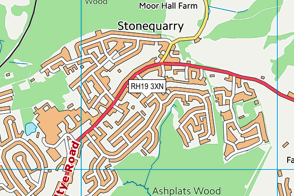 RH19 3XN map - OS VectorMap District (Ordnance Survey)