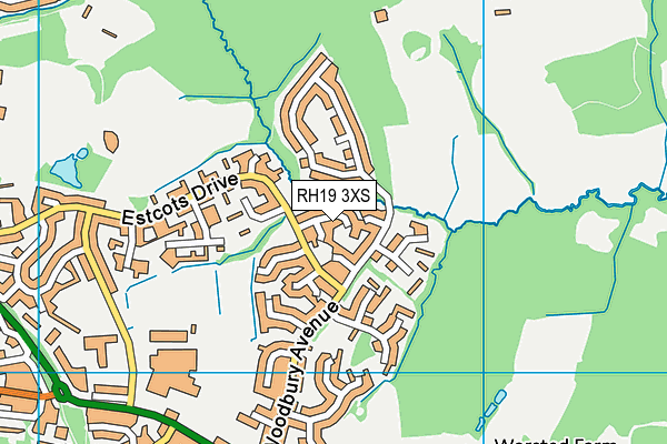 RH19 3XS map - OS VectorMap District (Ordnance Survey)